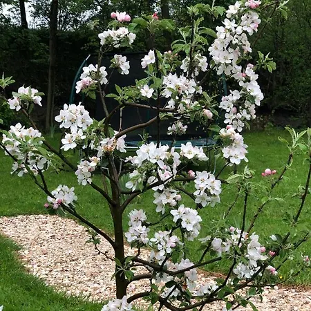 Caloroczny Na Wylacznosc Niebieska Osada Nad Gorskim Potokiem *