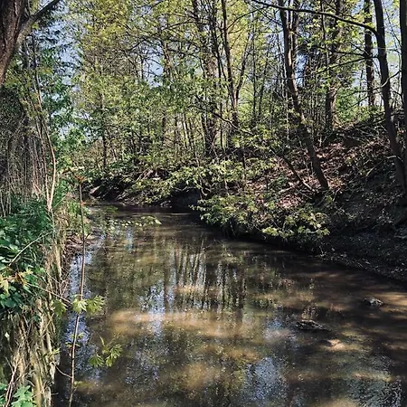 Appartamento Caloroczny Na Wylacznosc Niebieska Osada Nad Gorskim Potokiem Stary Waliszow