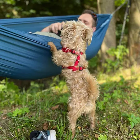 Caloroczny Na Wylacznosc Niebieska Osada Nad Gorskim Potokiem * Stary Waliszow