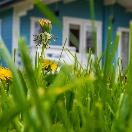 Caloroczny Na Wylacznosc Niebieska Osada Nad Gorskim Potokiem Appartamento