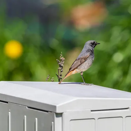 Caloroczny Na Wylacznosc Niebieska Osada Nad Gorskim Potokiem * Stary Waliszow