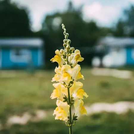 Caloroczny Na Wylacznosc Niebieska Osada Nad Gorskim Potokiem Appartamento