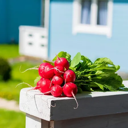 Appartamento Caloroczny Na Wylacznosc Niebieska Osada Nad Gorskim Potokiem *