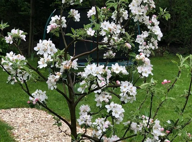 Caloroczny Na Wylacznosc Niebieska Osada Nad Gorskim Potokiem *