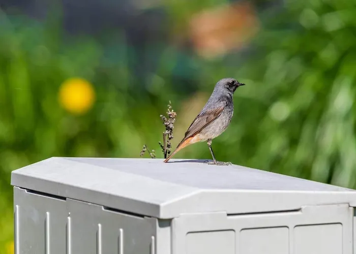 Apartmán Caloroczny Na Wylacznosc Niebieska Osada Nad Gorskim Potokiem *