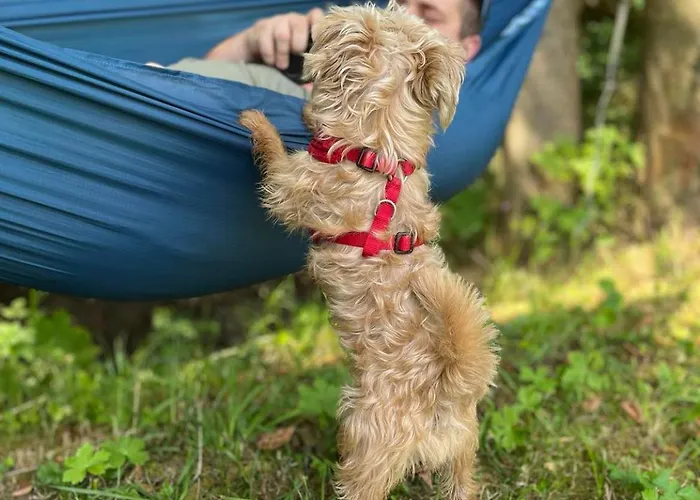 Caloroczny Na Wylacznosc Niebieska Osada Nad Gorskim Potokiem * Stary Waliszow