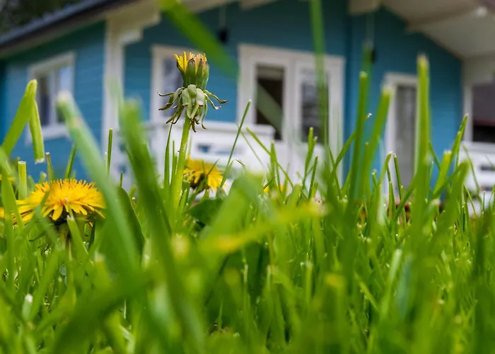 Caloroczny Na Wylacznosc Niebieska Osada Nad Gorskim Potokiem Apartmán