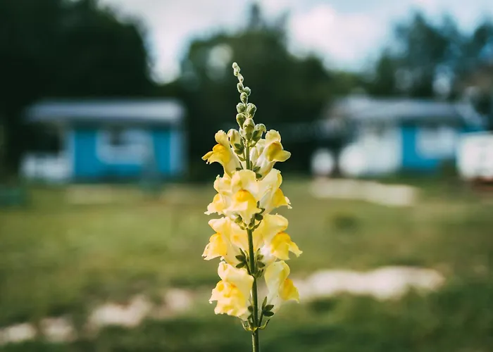 Caloroczny Na Wylacznosc Niebieska Osada Nad Gorskim Potokiem Apartmán