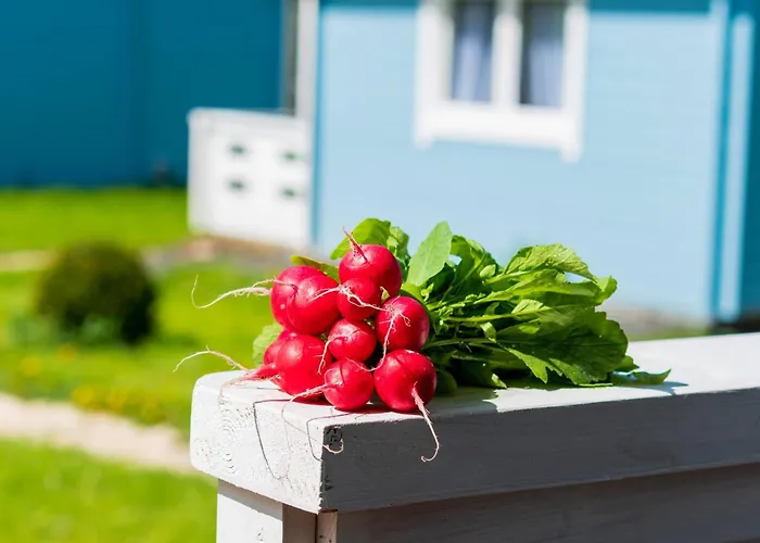 Apartmán Caloroczny Na Wylacznosc Niebieska Osada Nad Gorskim Potokiem *