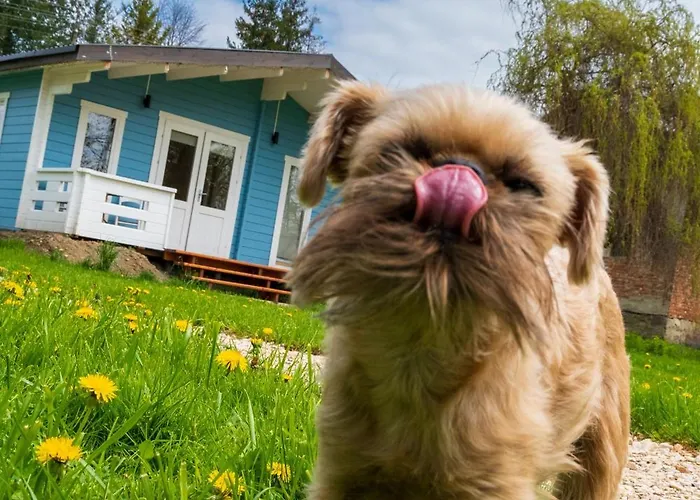 Apartmán Caloroczny Na Wylacznosc Niebieska Osada Nad Gorskim Potokiem *